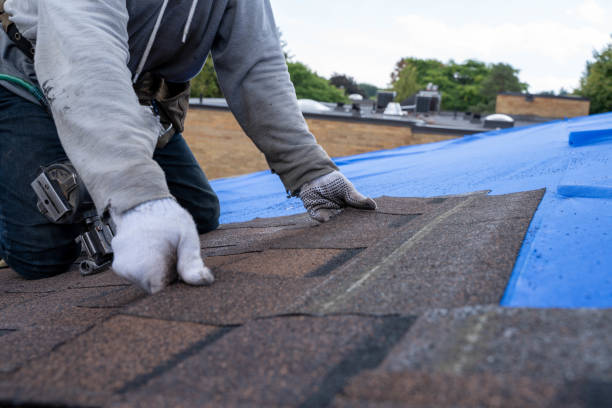 Best Roof Gutter Cleaning  in Harmony, PA